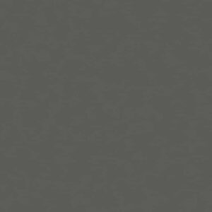 Кварцевый камень Silestone Cemento Spa